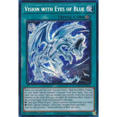 Vision with Eyes of Blue - MP23-EN026