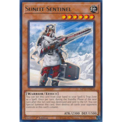 Sunlit Sentinel - MP23-EN074