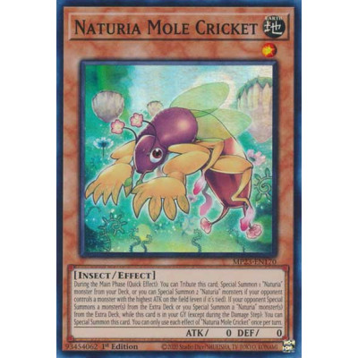 Naturia Mole Cricket - MP23-EN170