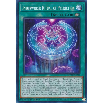 Underworld Ritual of Prediction - MP23-EN203