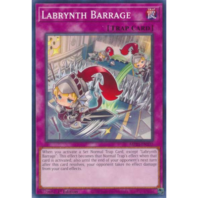 Labrynth Barrage - MP23-EN237