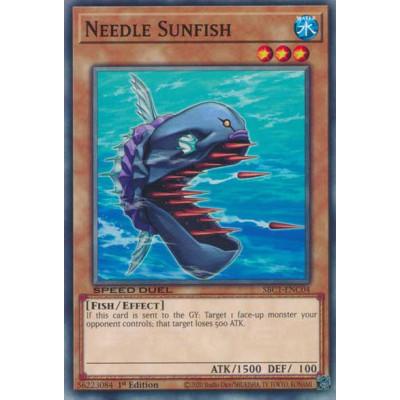 Needle Sunfish - SBC1-ENC04