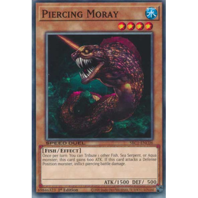 Piercing Moray - SBC1-ENC06