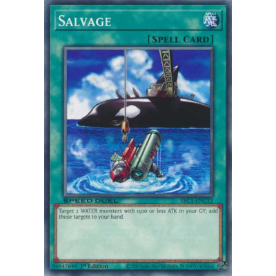 Salvage - SBC1-ENC12