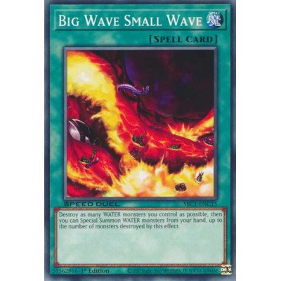 Big Wave Small Wave - SBC1-ENC15