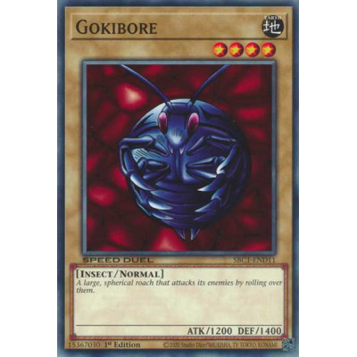 Gokibore - SBC1-END11