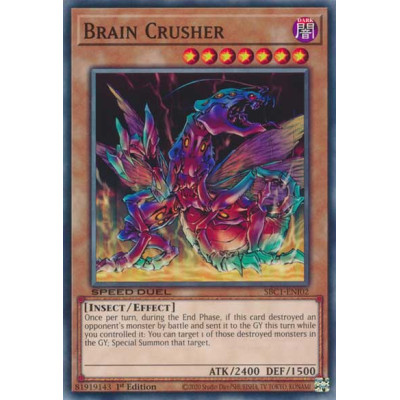 Brain Crusher - SBC1-ENI02