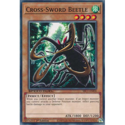 Cross-Sword Beetle - SBC1-ENI04