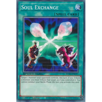 Soul Exchange - SGX3-ENC17