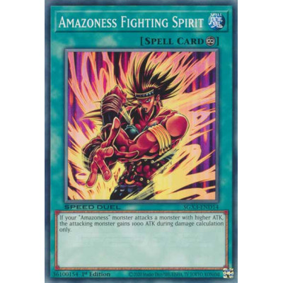 Amazoness Fighting Spirit - SGX3-END14