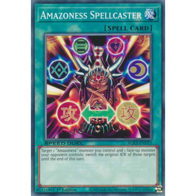 Amazoness Spellcaster - SGX3-END15