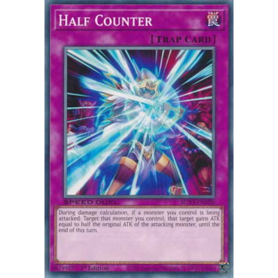 Half Counter - SGX3-END20