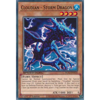 Cloudian - Storm Dragon - SGX3-ENH10