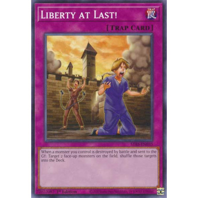 Liberty at Last - STAS-EN035