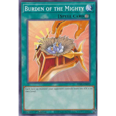 Burden of the Mighty - STAX-EN032