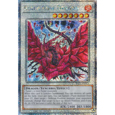 Black Rose Dragon - TN23-EN014