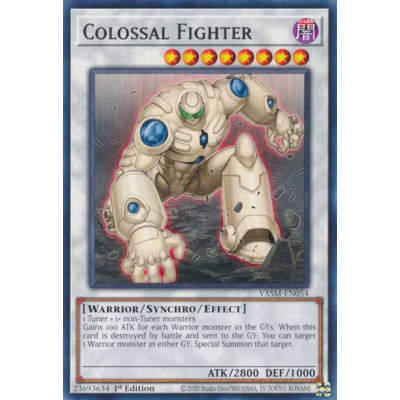 Colossal Fighter - VASM-EN054