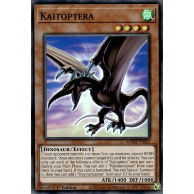 Kaitoptera - MZMI-EN012