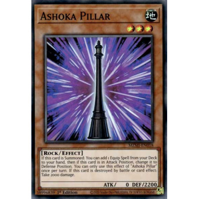 Ashoka Pillar - MZMI-EN018