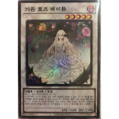 Garden Rose Maiden - QCDB-KR035