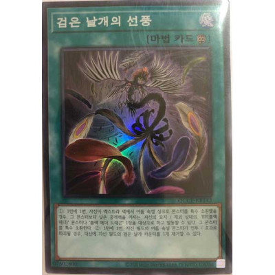 Black Feather Whirlwind - QCCP-KR143