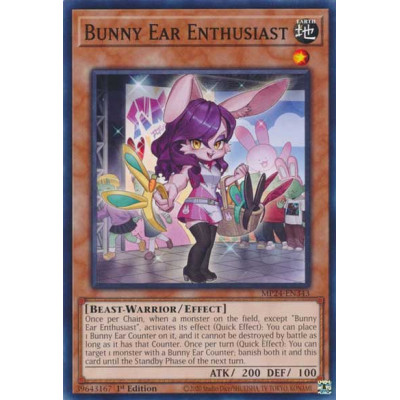 Bunny Ear Enthusiast - MP24-EN343