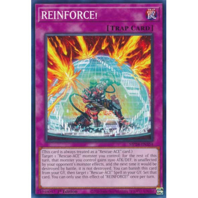 REINFORCE - MP24-EN354