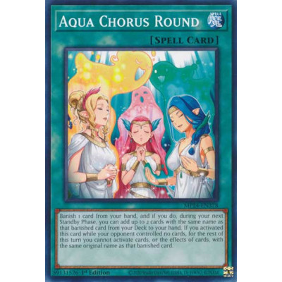 Aqua Chorus Round - MP24-EN378