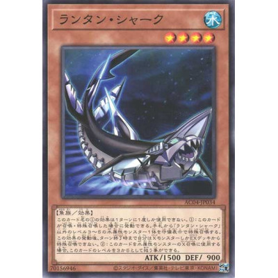 Lantern Shark - AC04-JP034