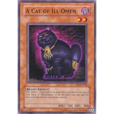 A Cat of Ill Omen - PGD-070