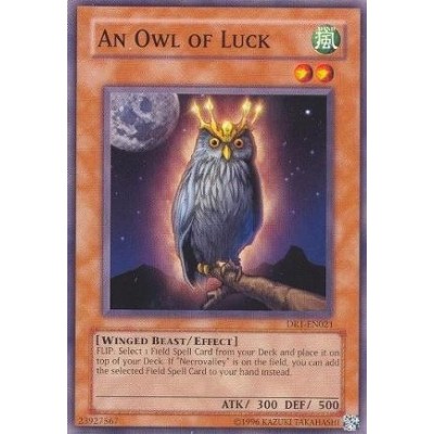 An Owl of Luck - PGD-073