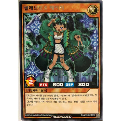 Celeb Rose Mage - RD/KP13-KR009