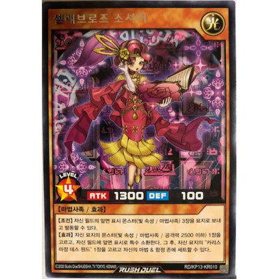 Celeb Rose Sorcerer - RD/KP13-KR010