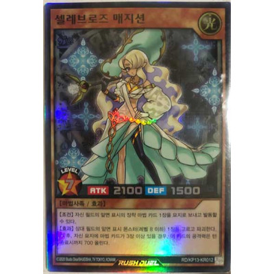 Celeb Rose Magician - RD/KP13-KR012