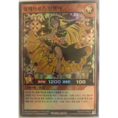 Celeb Rose Enchanter - RD/HC01-KR047