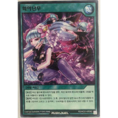 Shadow Flower Dance - RD/HC01-KR062