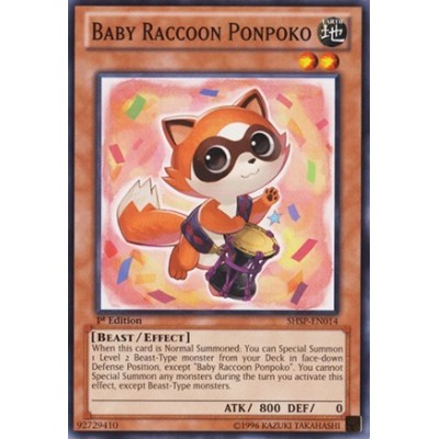 Baby Raccoon Ponpoko - SHSP-EN014