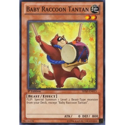 Baby Raccoon Tantan - SHSP-EN015