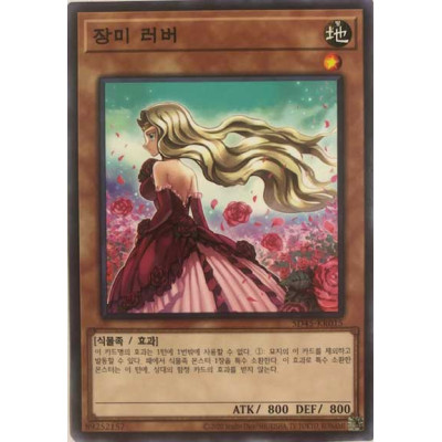 Rose Lover - SD45-KR015