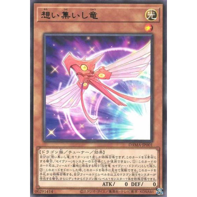 Converging Wills Dragon - DAMA-JP001