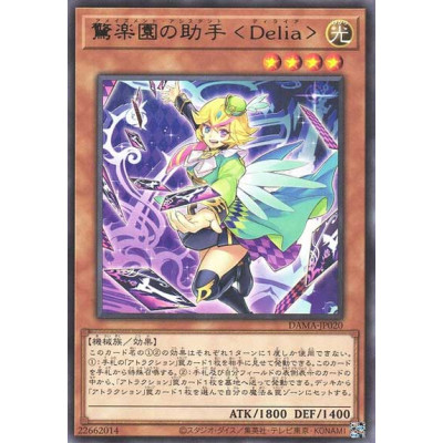 Amazement Assistant Delia - DAMA-JP020