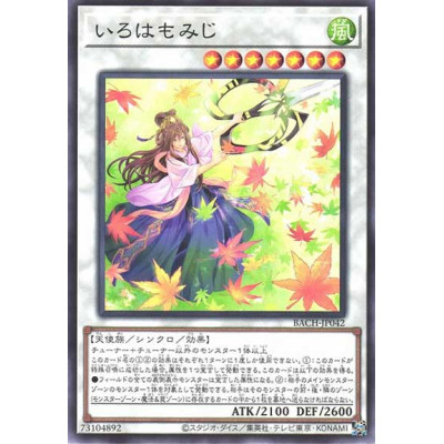 Maple Maiden - BACH-JP042