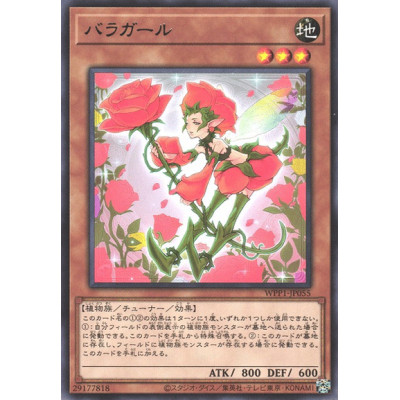 Rose Girl - WPP1-JP055 - Nova