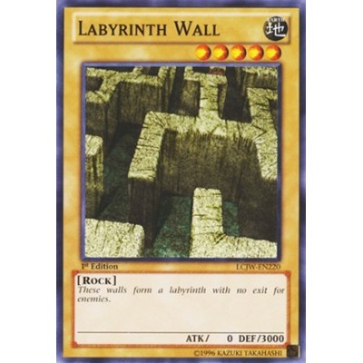 Labyrinth Wall - LCJW-EN220