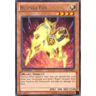 Bujingi Fox - LVAL-EN029