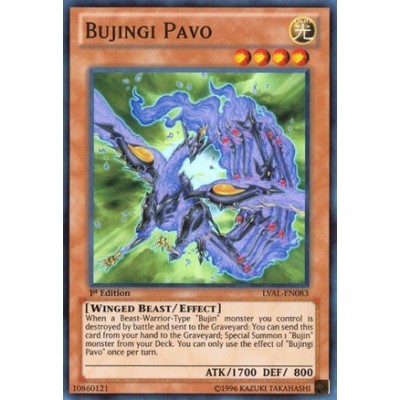 Bujingi Pavo - LVAL-EN083