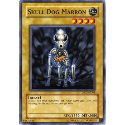 Skull Dog Marron