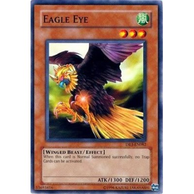 Eagle Eye - DR3-EN082