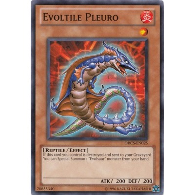 Evoltile Pleuro - ORCS-EN025