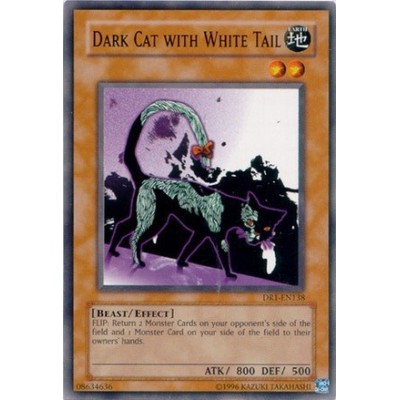 Dark Cat with White Tail - DR1-EN138